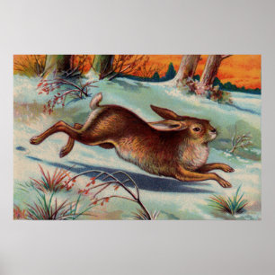 Poster moyen du lapin de décembre