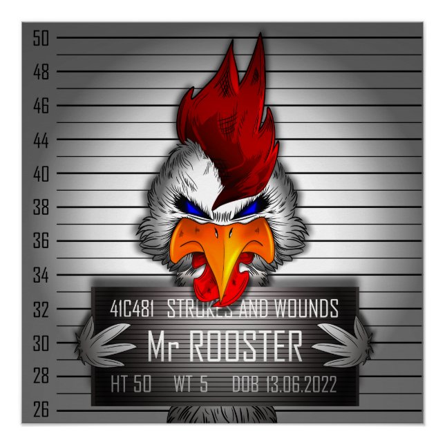 Poster Mr Rooster (Devant)