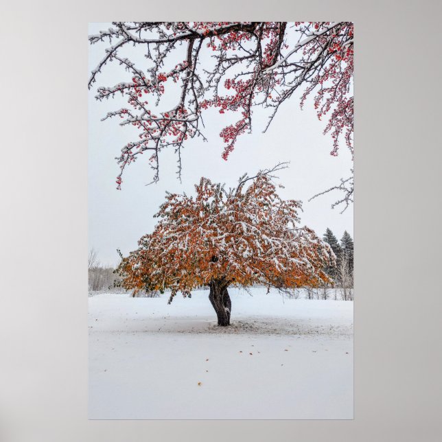Poster mural 20x30 (Devant)