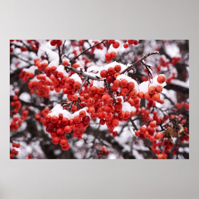 Poster mural 36x24 (Devant)