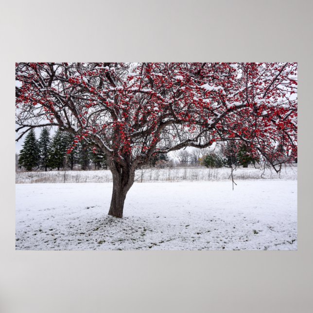 Poster mural 36x24 (Devant)