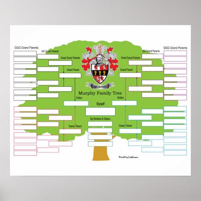 Poster Murphy Family Tree (Devant)