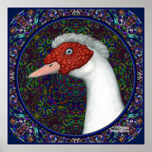 Poster Muscovy Duck Head (Devant)
