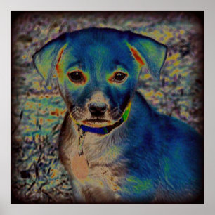 Poster MVB Labrador - Conception psychédélique