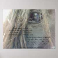 My Horse's Eye 11x8.25 mûr imprimé uv