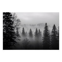 Mystères de la Glossaire de Brume