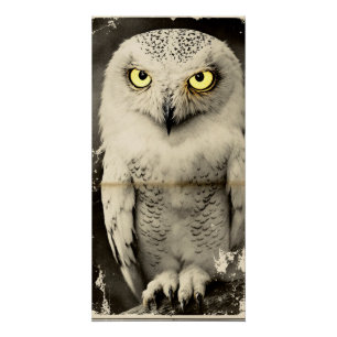 Poster Mysterious Owl Newspaper Print - Folklore Vintage