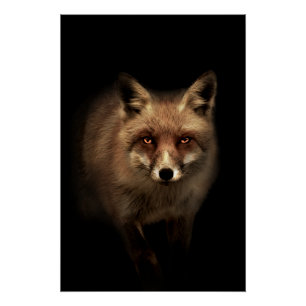 Poster Mystic Fox