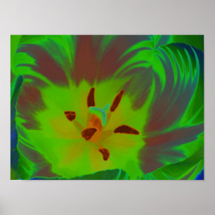 Poster Mystic Green Tulip