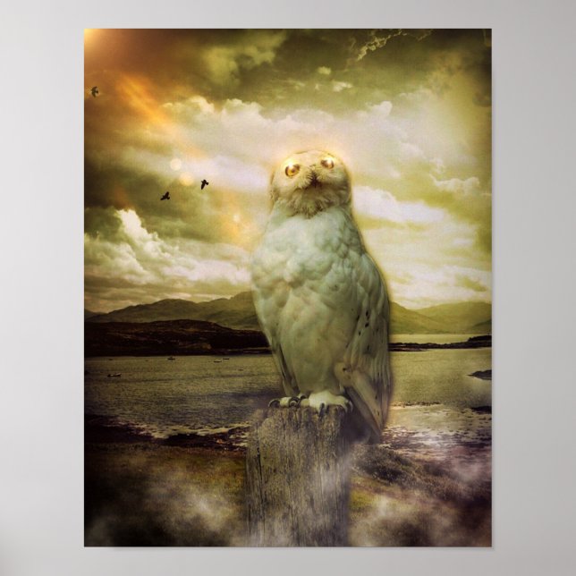 Poster Mystical Owl (Devant)