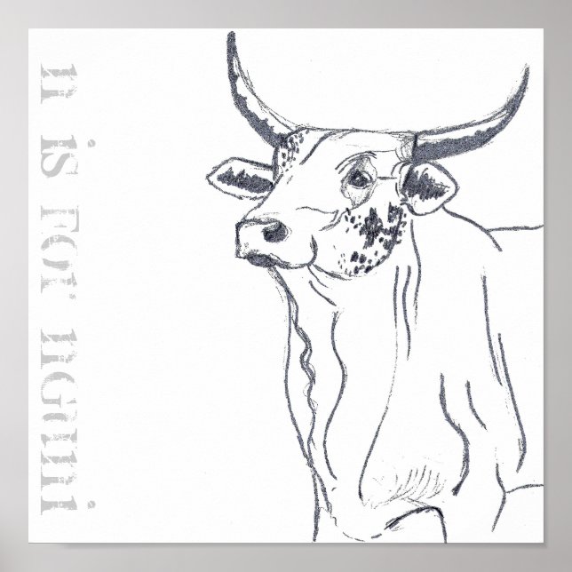 Poster n est pour nguni (Devant)