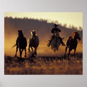 Poster NA, USA, Oregon, Seneca, Ponderosa Ranch, Cowboy 2
