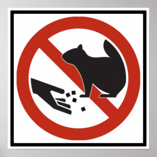 Poster N'alimentez pas aux écureuils le signe de route