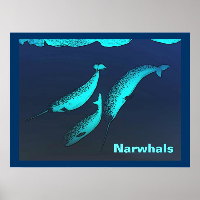 Poster Narwhal (Devant)