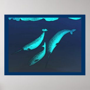 Poster Narwhal