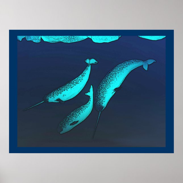 Poster Narwhal (Devant)