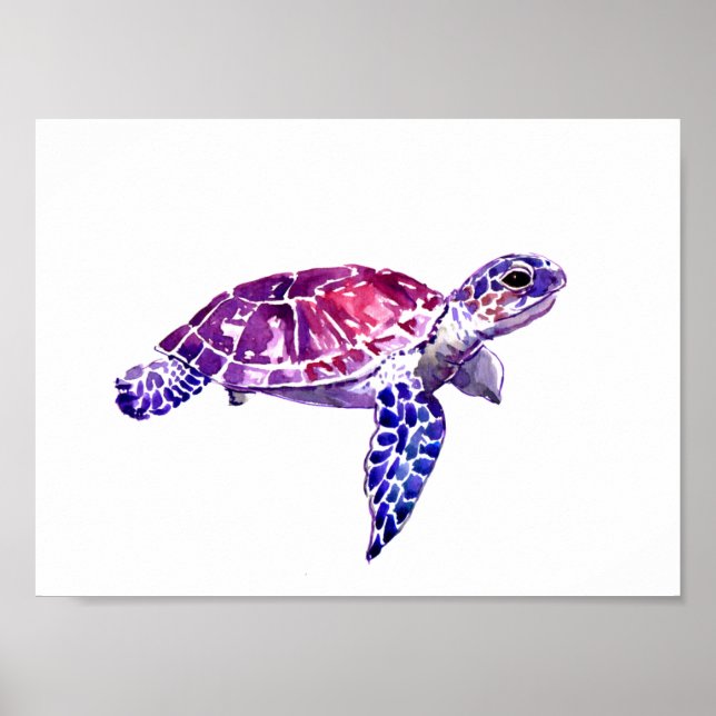 Poster - Natation Gratuit (Devant)