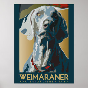 Poster Nation Weimaraner : AKC Weimaraner
