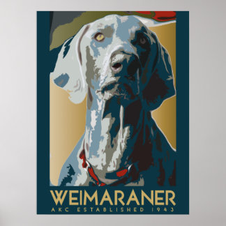 Poster Nation Weimaraner : AKC Weimaraner