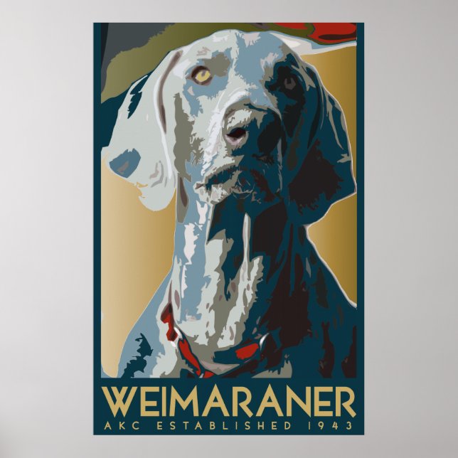 Poster Nation Weimaraner : AKC Weimaraner (Devant)
