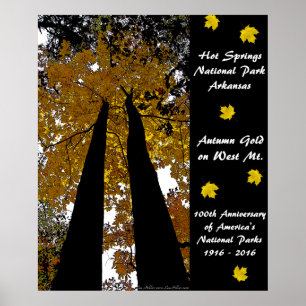 Poster National Park Anniversary Hot Springs Automne Gold