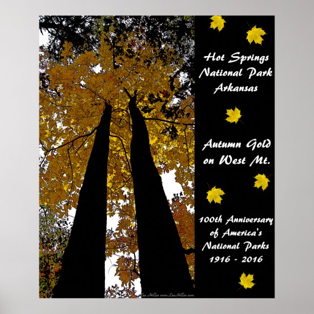 Poster National Park Anniversary Hot Springs Automne Gold (Devant)