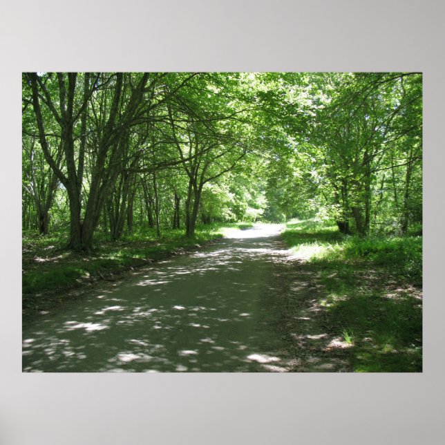 Poster Nature (Devant)