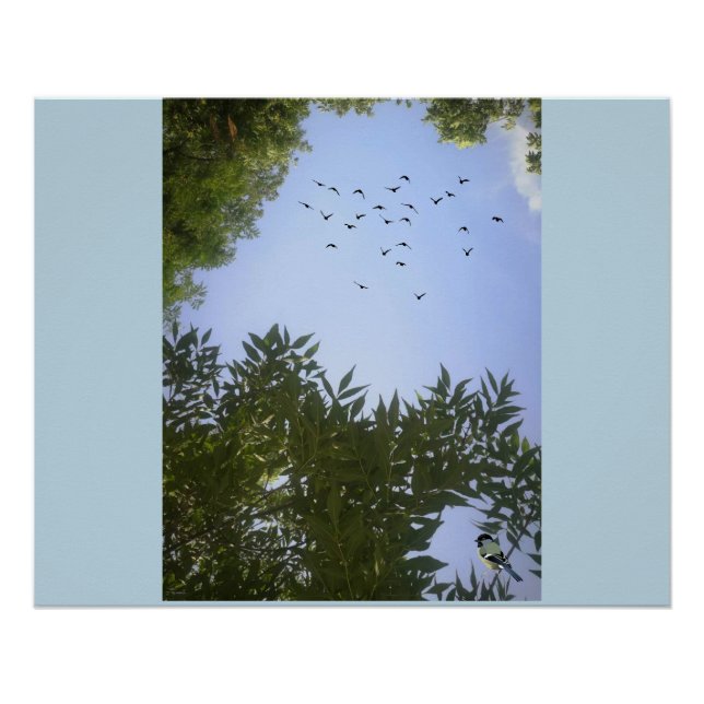 Poster Nature Ciel Bleu Avec Oiseaux & Arbre (Devant)