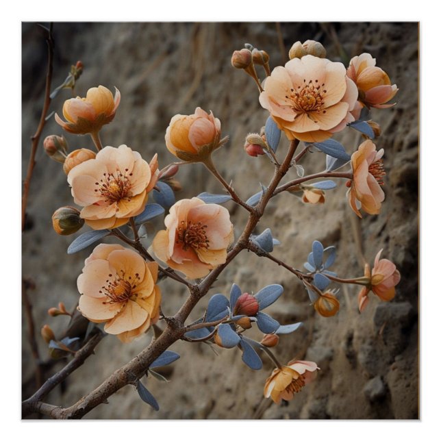 Poster Nature cinématographique : Illustration florale dr (Devant)