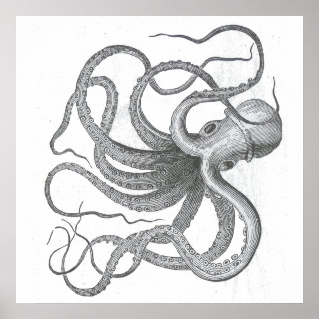Poster Nautical steampunk octopus vintage kraken drawing (Devant)