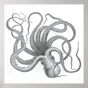 Poster Nautical steampunk octopus vintage kraken drawing