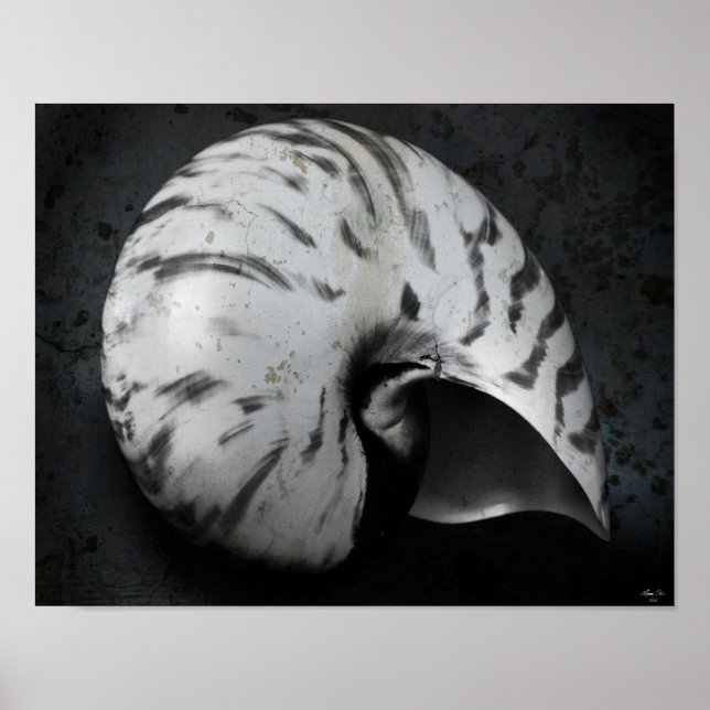 Poster Nautilus BW (Devant)