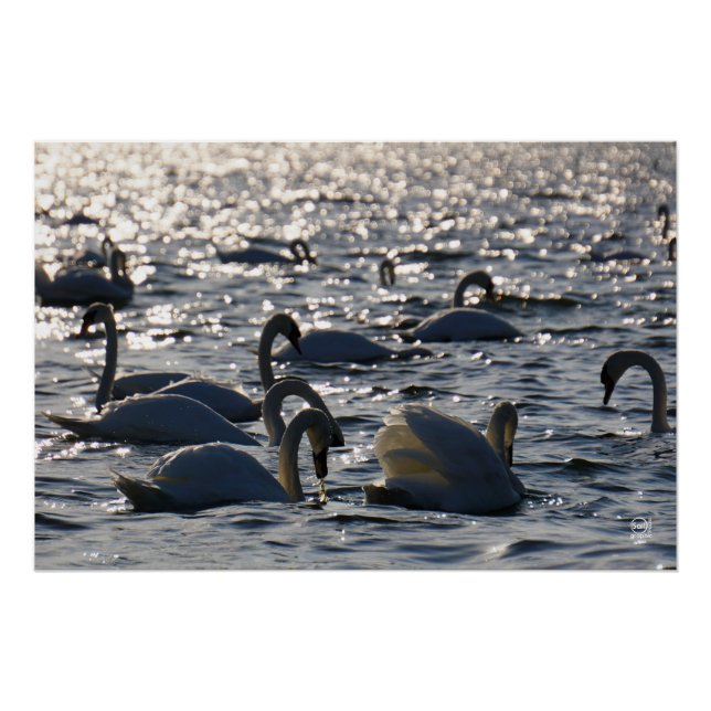 Poster Navires en groupe sur l'eau avec glissement (Devant)