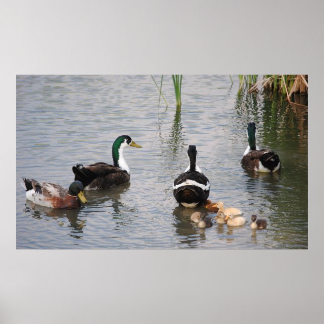 Poster Ne fais rien. (Devant)