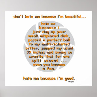 Poster Ne me détestez pas VOLLEYBALL