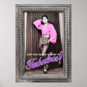Poster Ne me hais pas juste parce que je suis fabuleux [p