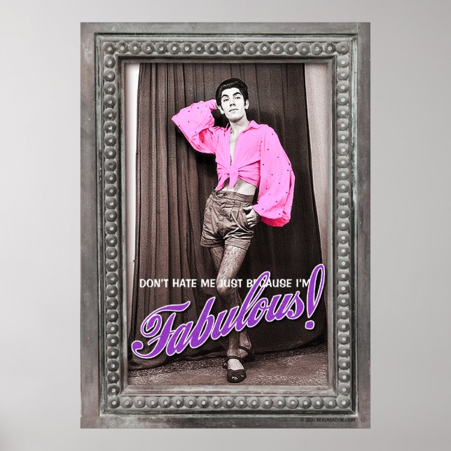 Poster Ne me hais pas juste parce que je suis fabuleux [p (Devant)