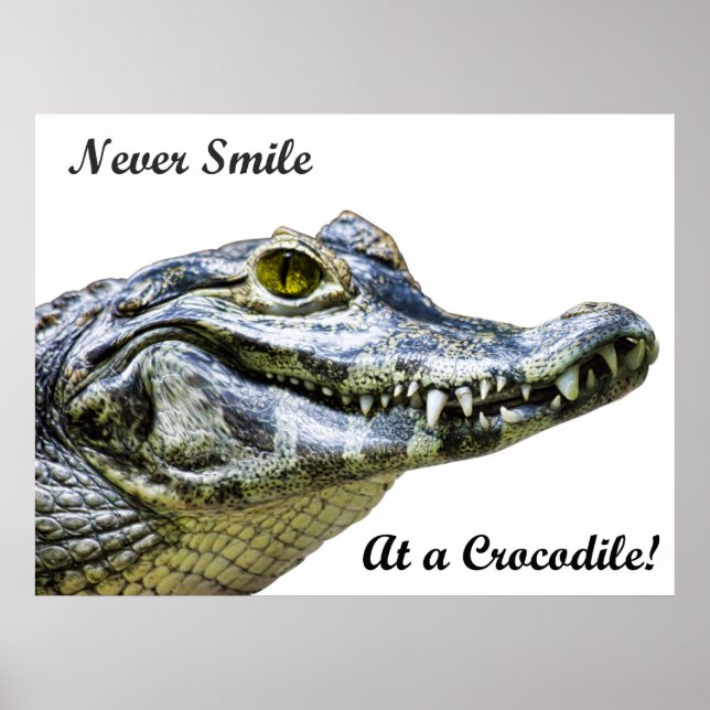 Poster Ne souriez jamais à un crocodile ! (Devant)