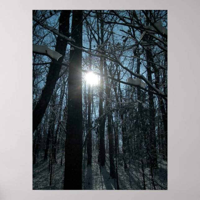 Poster Neige dans les bois (Devant)
