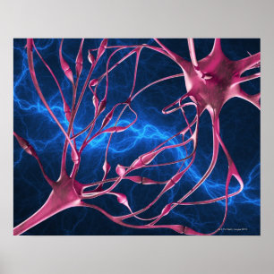 Poster Nerve synapses, computer artwork.