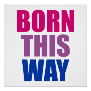 Poster Nés De Cette Façon Bisexuel Bi Fierté LGBTQ