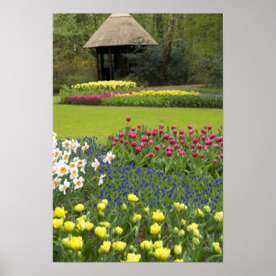 Poster Netherlands aka Holland), Lisse. Keukenhof 5
