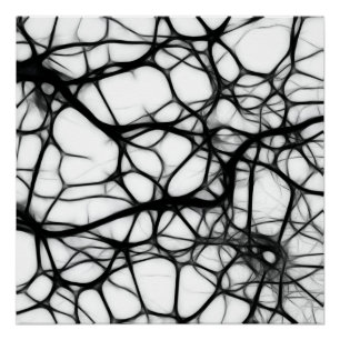 Poster Neurones