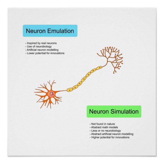 Poster Neurones (Devant)