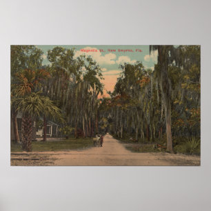 Poster New Smyrna, Floride - Vue sur Magnolia