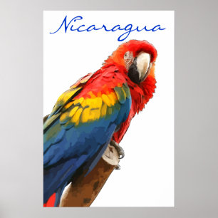 Poster Nicaragua Scarlet Macaw