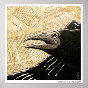 Poster Night Raven