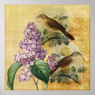 Poster Nightingales avec Lilac