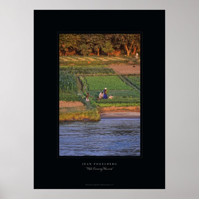 Poster "Nile Evening Harvest" (Devant)