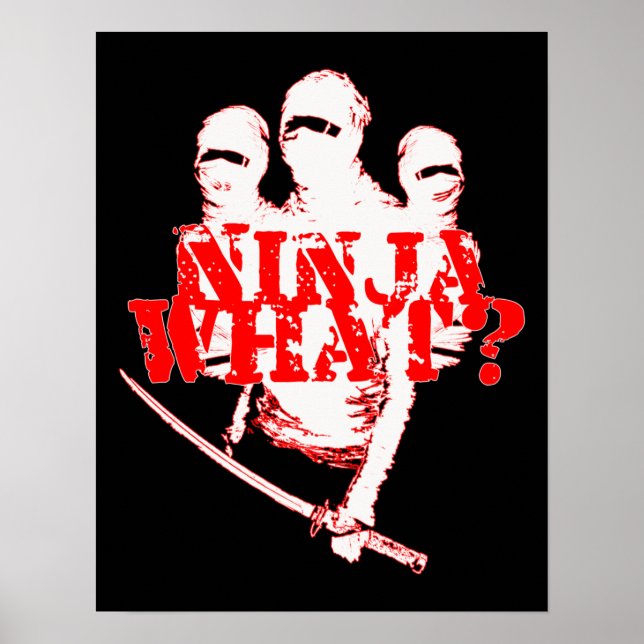 POSTER NINJA WHAT? (Devant)